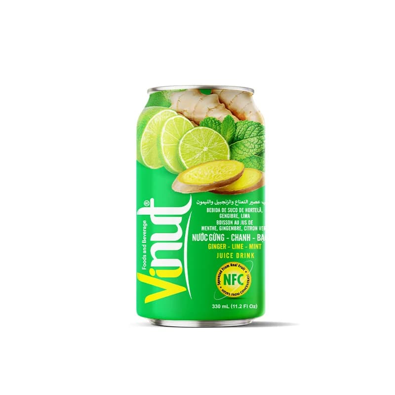 VINUT عصائر الفاكهة — الليمون الأخضر والنعناع والزنجبيل، 330 مل