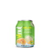 VINUT Melon Juice Drink with Pulp, 8.4 fl oz (250 mL) Can - Image 1