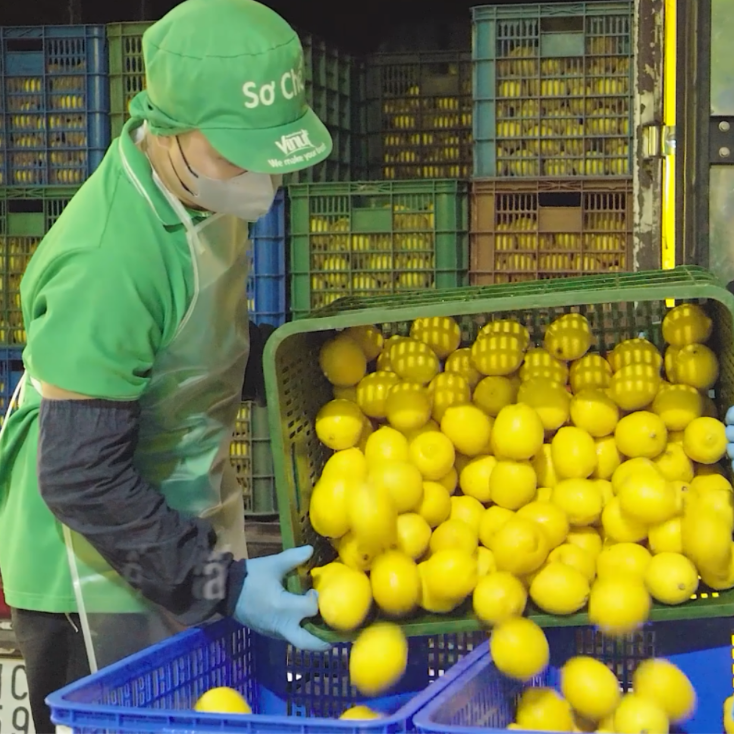 Cold Pressed Juice, Private Label