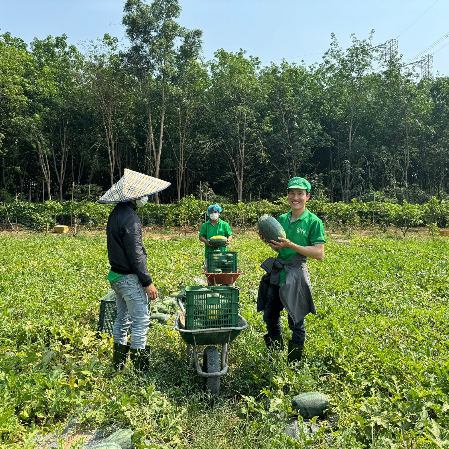 100% juice OEM manufacturer, 100 percent juice OEM,