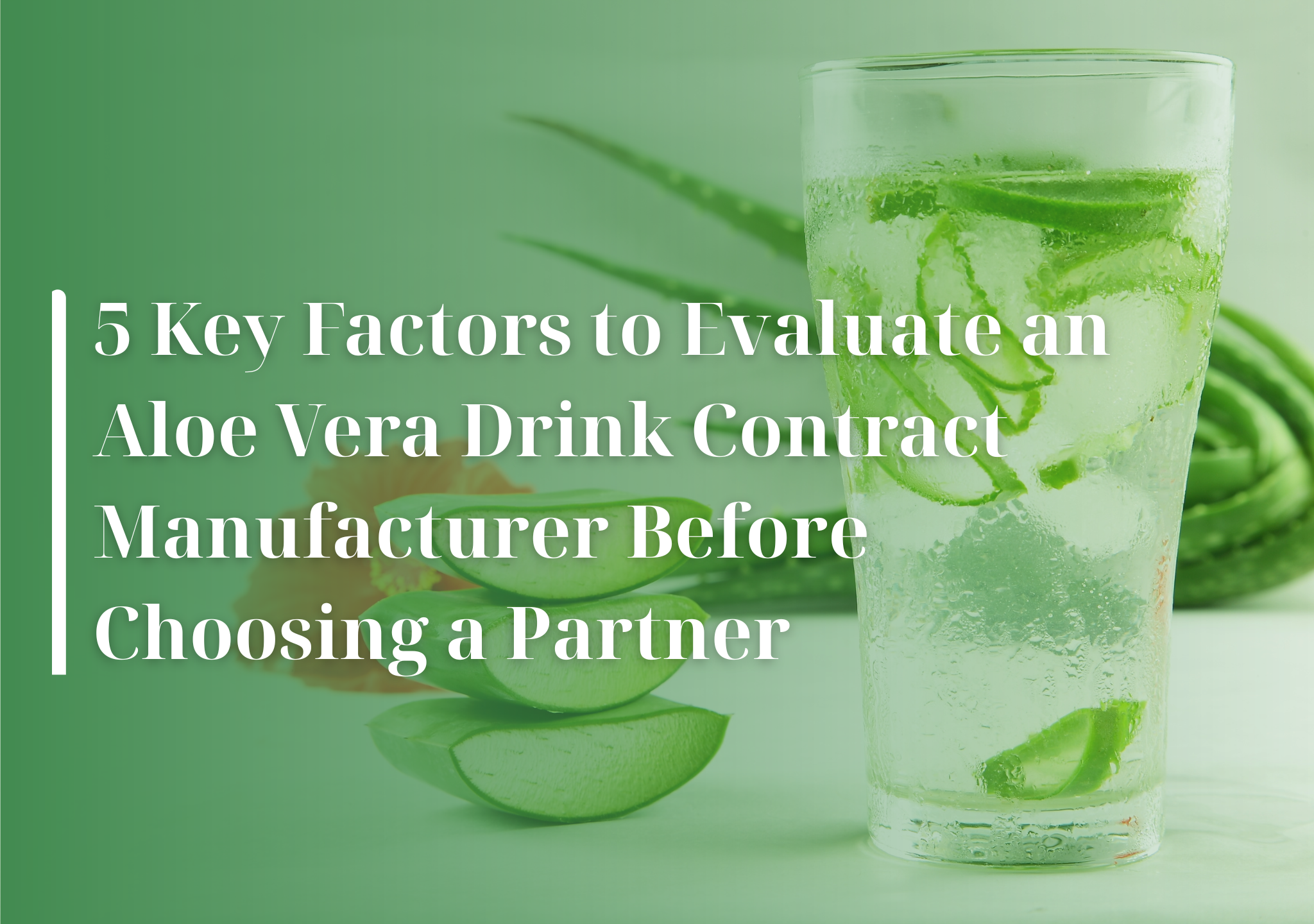aloe vera drink contract manufacturing, aloe vera co‑packer, beverage contract manufacturer, OEM aloe vera factory