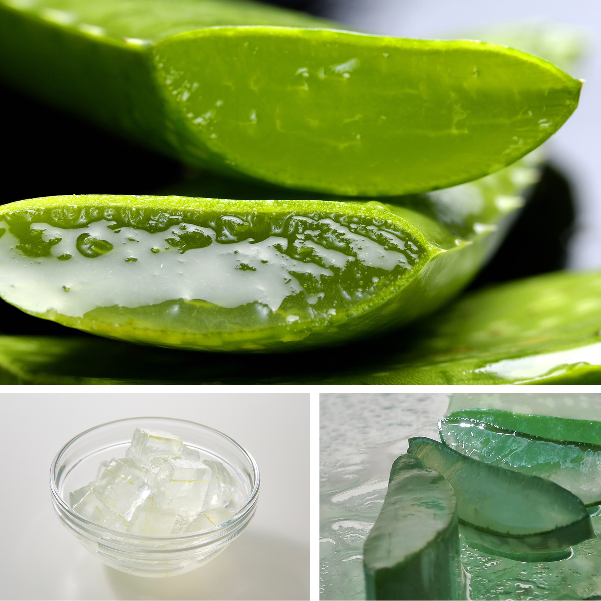 aloe vera drink co-packing