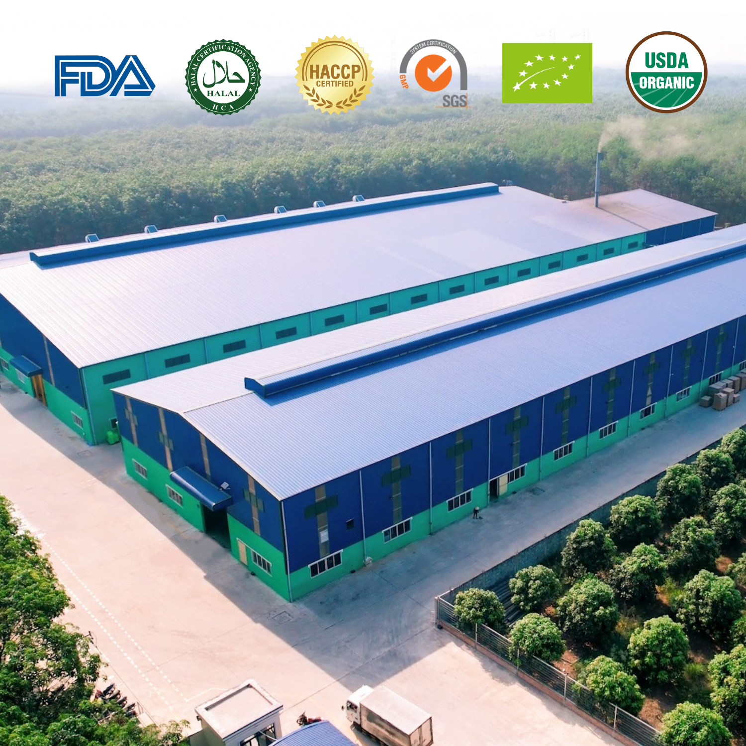 aloe vera drink OEM factory, aloe vera OEM manufacturer, OEM aloe vera drink, aloe vera beverage OEM, beverage OEM factory, co‑packer aloe vera