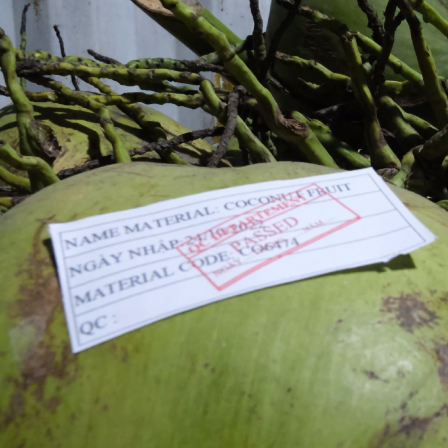 Canned Coconut Water