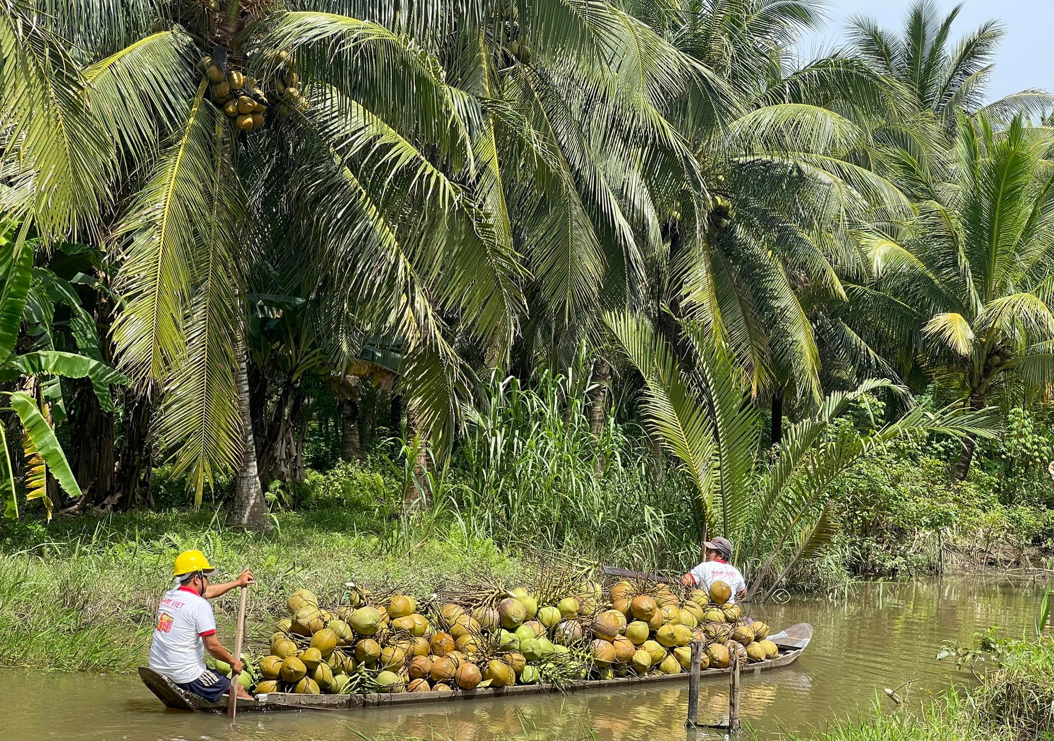 coconut water OEM factory