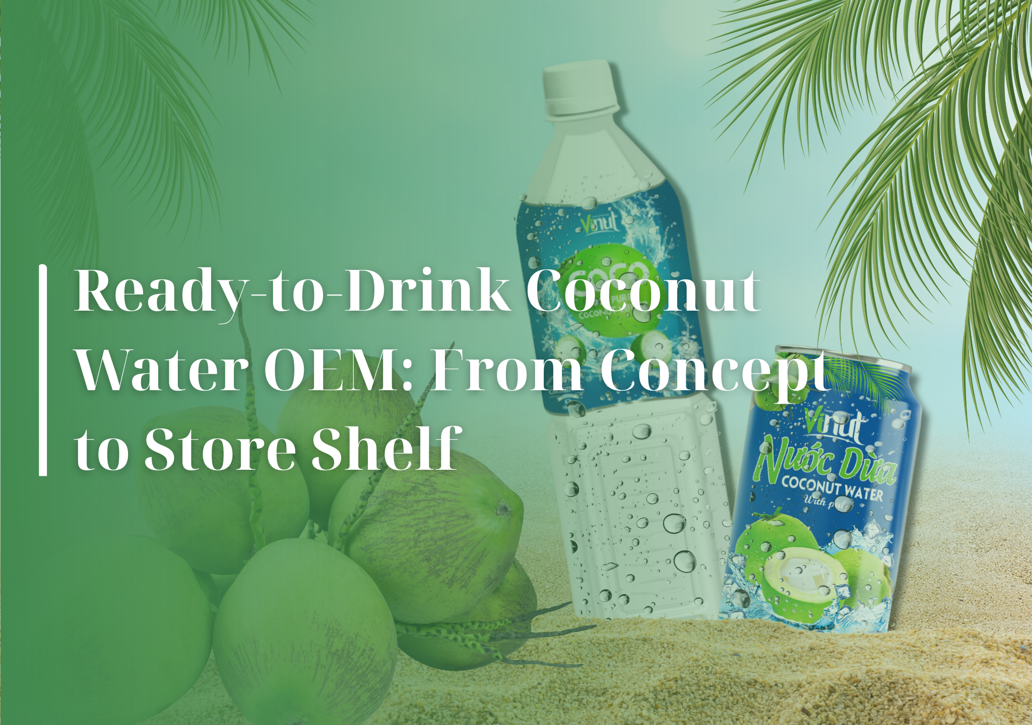 ready to drink coconut water OEM, RTD coconut water OEM, coconut water RTD, coconut RTD beverage OEM, ready to drink coconut beverage OEM, coconut water turnkey OEM, RTD beverage manufacturer